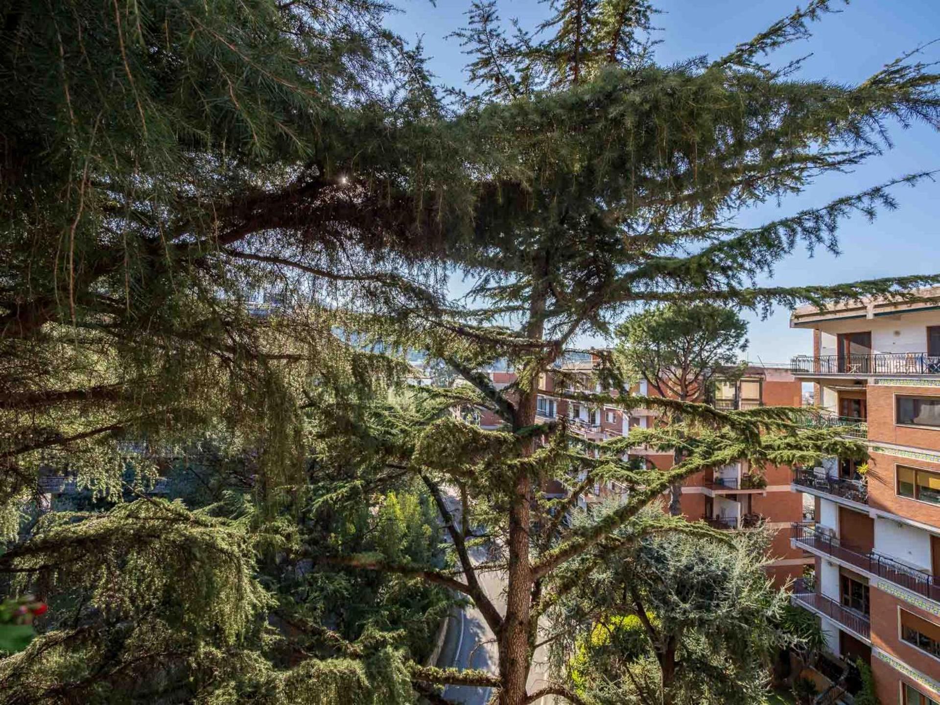 Appartamento Pine House Sorrento